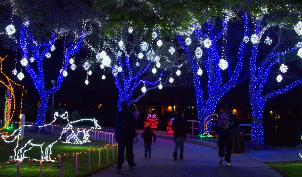 Experience the Magic: Top 10 Things to Do for Christmas 2023 in Houston